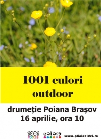 1001 culori outdoor
