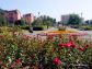 parcul-trandafirilor-racadau-valea-cetatii-brasov-4