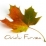 Ovidiu Furnea