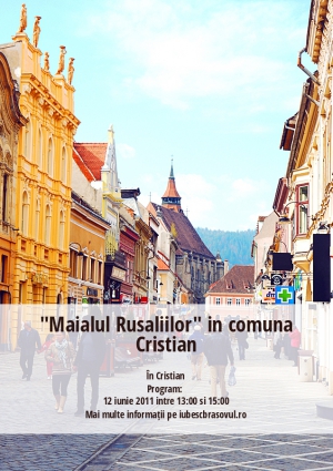 "Maialul Rusaliilor" in comuna Cristian