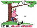 Red Bull Gravity Challange, 4 iunie pe Colina