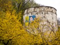 campanie-electorala-presedinte-brasov-01