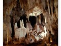 diaporama-Topolnita