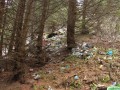 langa cabana postavaru poiana brasov 1 langa cabana postavaru poiana brasov 1