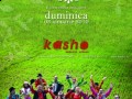 concert Damian brothers kasho brasov