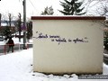 tanarul brasovean artist si poet rebel fara cauza tanarul brasovean artist si poet rebel fara cauza