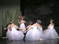 Giselle balet Opera Brasov