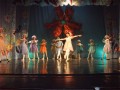 spectacolul degetica la opera brasov