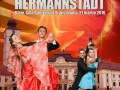 Dans sportiv Cupa Hermannstadt 2010 la Sibiu