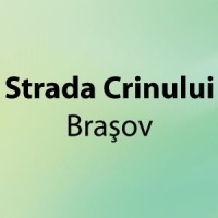 Strada Crinului