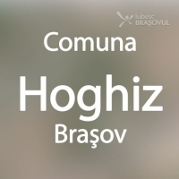 Hoghiz