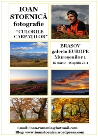 Expozitie pictura si fotografie Adrian si Ioan Stoenica