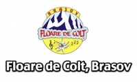 Asociatia Floare de Colt