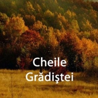 Cheile Gradistei