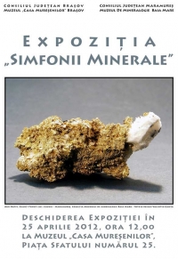 Expoziția „Simfonii minerale”