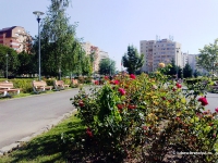 Parcul Trandafirilor