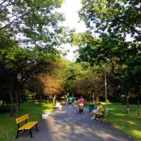 parcul-tractorul-brasov-01