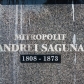 andrei-saguna-brasov01