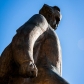 andrei-muresanu-parc-teatrul-dramatic-brasov05