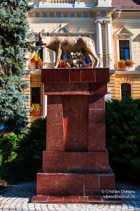 statuia-lupa-capitolina-statuia-lupoaicei-brasov03