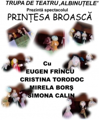 “Printesa Broasca” teatru de papusi pentru cei mici