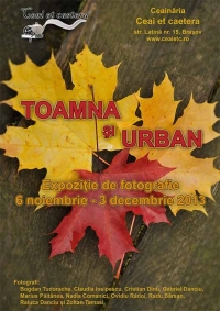 ”Toamnă” și ”Urban” – expoziții de fotografie