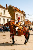 sarbatoarea-junilor-brasov-2014-10