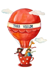 Tara Viselor- loc de joaca si cafenea