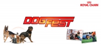 DogFest Brasov