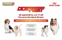 DogFest Brașov 2017