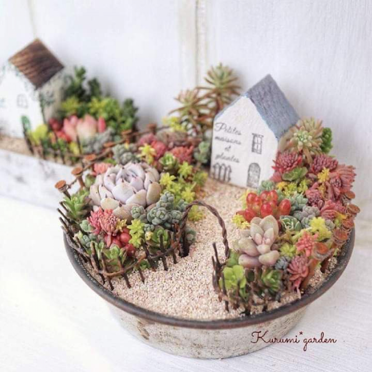 Grădina Miniaturală, expresie a sufletului - Atelier pentru Adulți