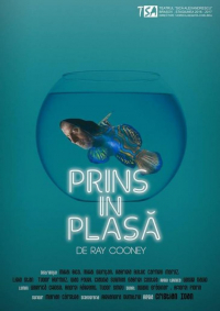 Prins în plasă