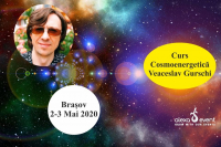 Curs Brașov Cosmoenergetică cu Veaceslav Gurschi