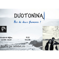Concert Duotonina - Pas de Deux Flamenco