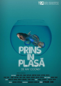 Piesa de teatru "Prins în plasă"