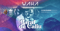 Waha Continuum / Taraf de Caliu / Brasov