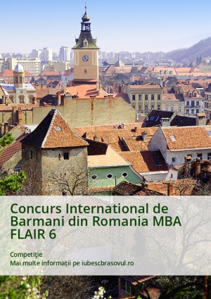 Concurs International de Barmani din Romania MBA FLAIR 6