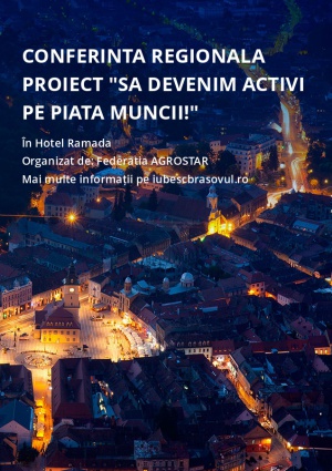 Conferinta regionala proiect "Sa devenim activi pe piata muncii!"