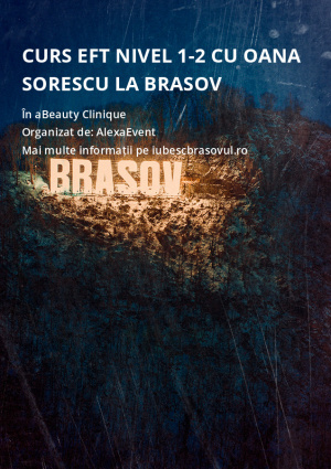 Curs EFT Nivel 1-2 cu Oana Sorescu la Brasov