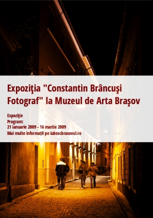 Expoziţia "Constantin Brâncuşi Fotograf" la Muzeul de Arta Braşov