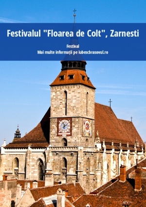 Festivalul "Floarea de Colt", Zarnesti