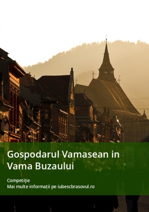 Gospodarul Vamasean in Vama Buzaului