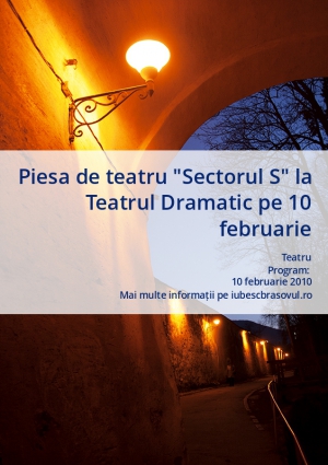 Piesa de teatru "Sectorul S" la Teatrul Dramatic pe 10 februarie
