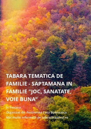 Tabara tematica de familie - Saptamana in familie "Joc, sanatate, voie buna"