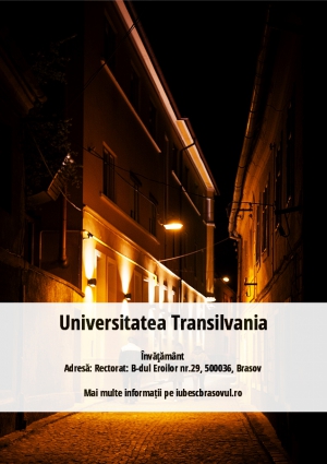 Universitatea Transilvania