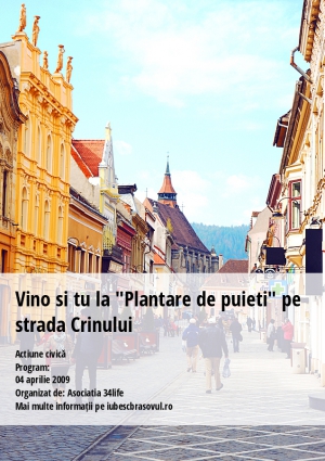 Vino si tu la "Plantare de puieti" pe strada Crinului