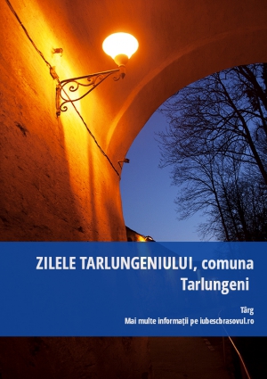 ZILELE TARLUNGENIULUI, comuna Tarlungeni 