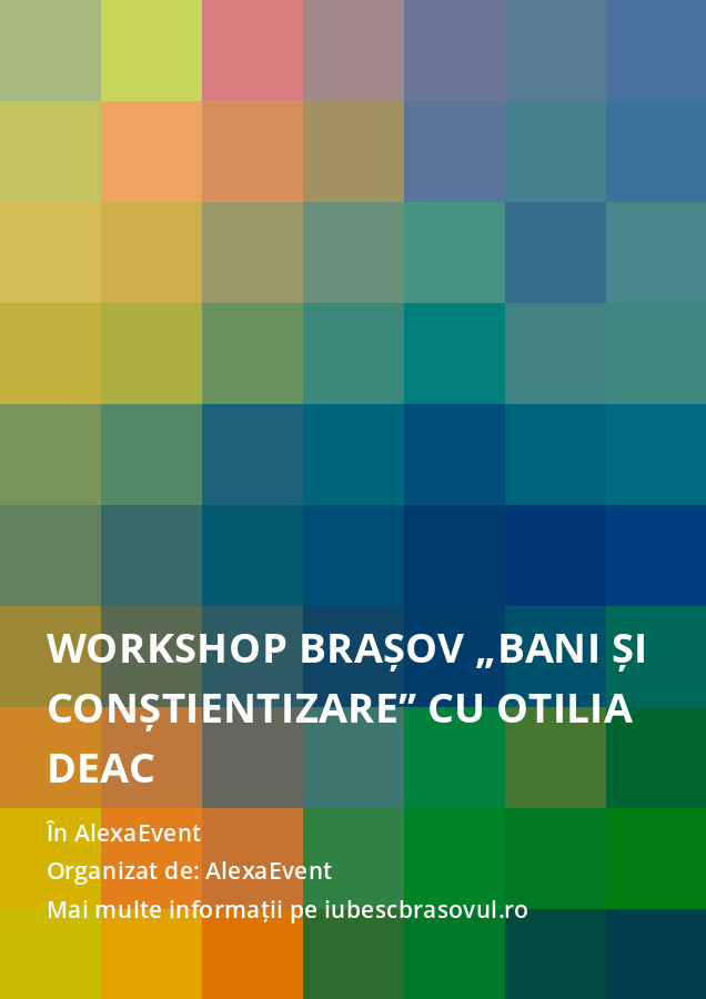 Workshop Brașov „Bani și Conștientizare” cu Otilia Deac