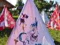 club-micheline-pictura-cort-1